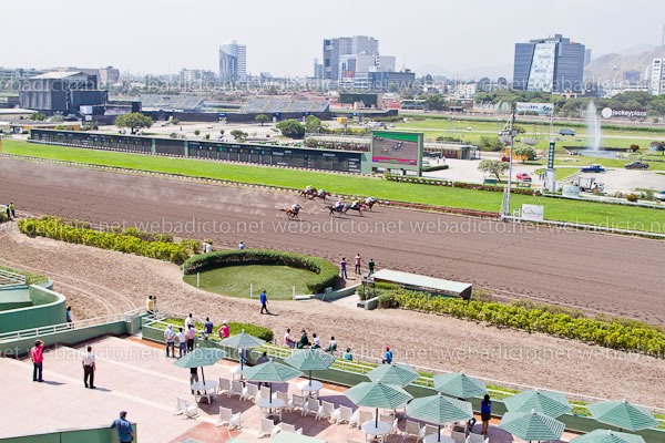 la-polla-y-pollon-intralot-jockey-club-del-peru-20 la-polla-y-pollon-intralot-jockey-club-del-peru-20