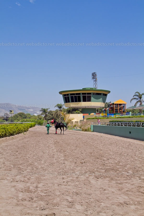 la-polla-y-pollon-intralot-jockey-club-del-peru-23 la-polla-y-pollon-intralot-jockey-club-del-peru-23
