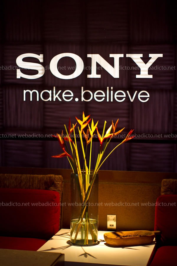 Sony-genezi-audio-hogar-2011-5