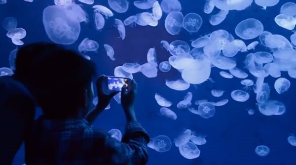 comercial-iphone-5-vs-lumia-925-cantidad-vs-calidad-fotografica comercial-iphone-5-vs-lumia-925-cantidad-vs-calidad-fotografica