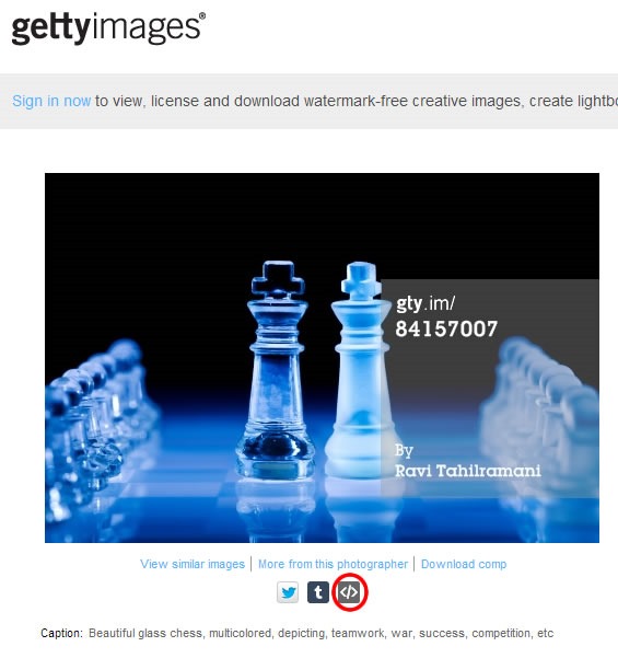 gettyimages stock images