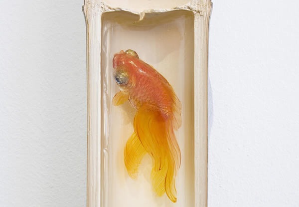 pinturas-goldfish-hiperrealistas-riosuke-fukahori-06