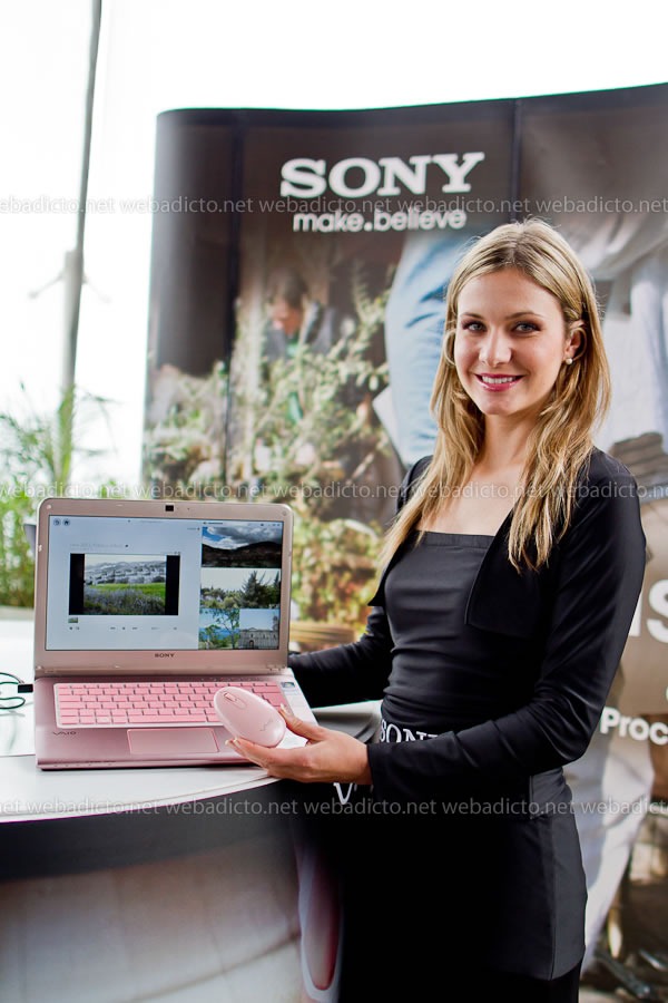 sony-vaio-serie-e-27 sony-vaio-serie-e-27