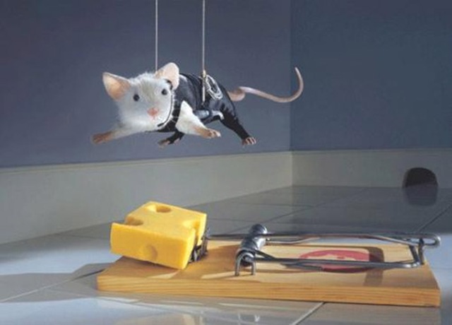 trampa-para-ratones