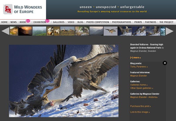 wild-wonders-of-europe01