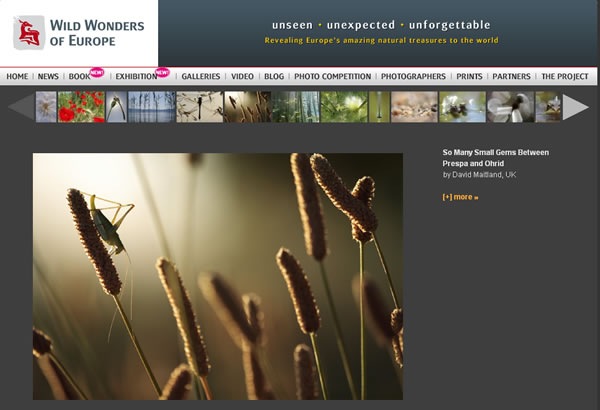 wild-wonders-of-europe02